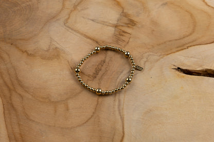 AVL special armband